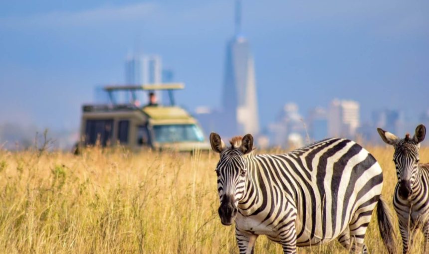 Best Time to Visit Kenya? (A Month-by-Month Guide)